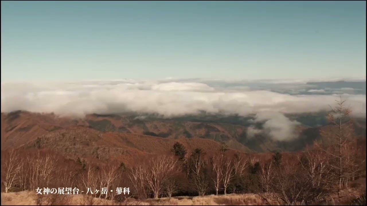 關東追楓之旅 — 電單車旅遊